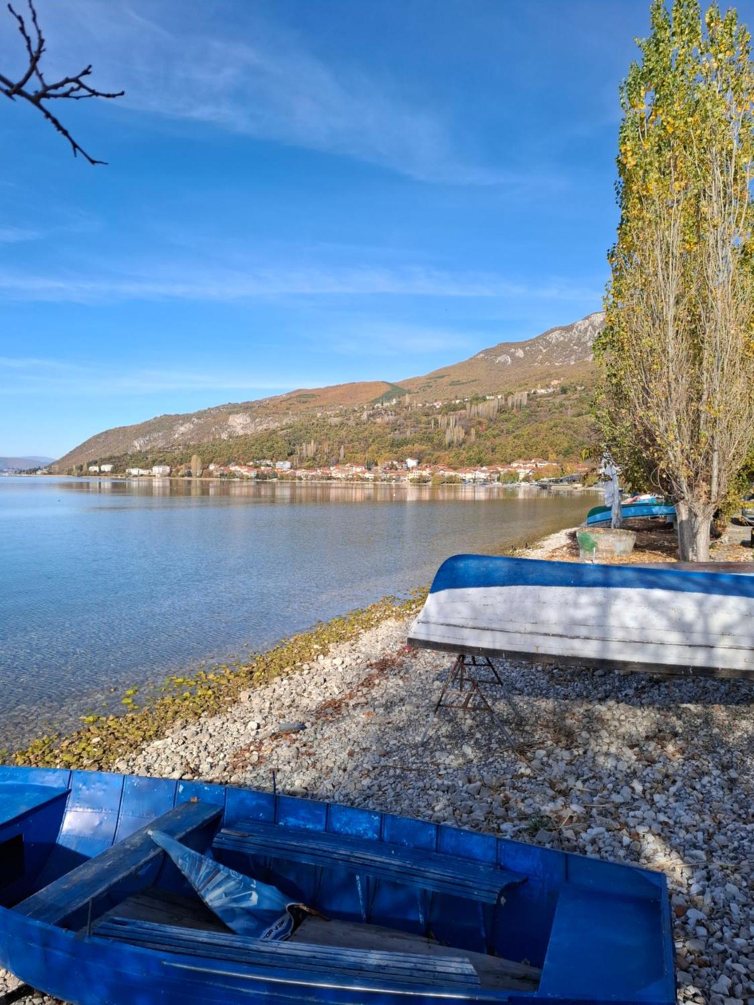 Apartments Villa Boris Ohrid Chambre photo
