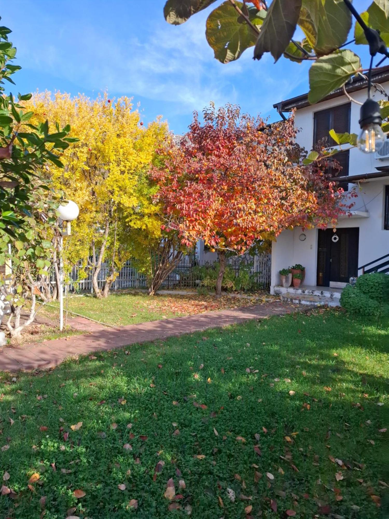 Apartments Villa Boris Ohrid Extérieur photo